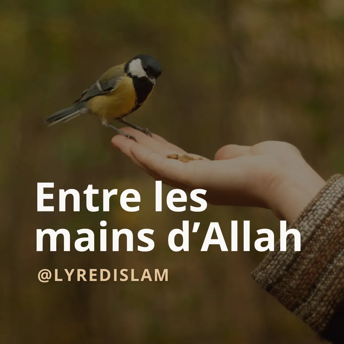 Entres les mains d'Allah - Lyre d'Islam