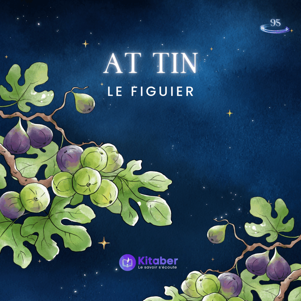Sourate At Tin en français - Le Figuier (sourate 95)